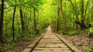 91897789 665622890864080 2934839968985513984 o 1