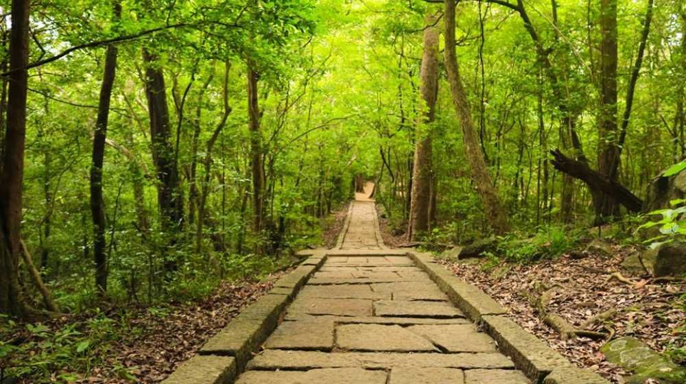 91897789 665622890864080 2934839968985513984 o 1