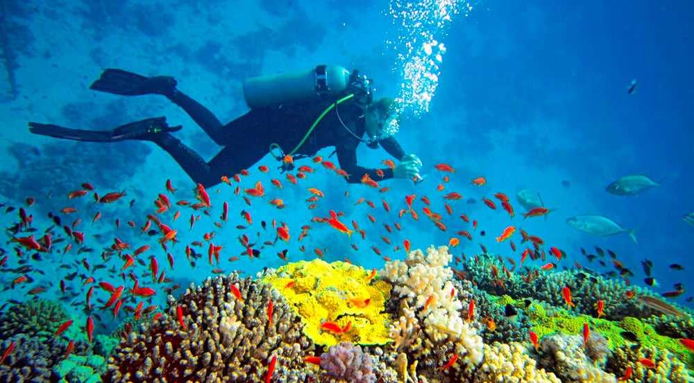 SCUBA DIVING AND SNORKELING IN SRI LANKA