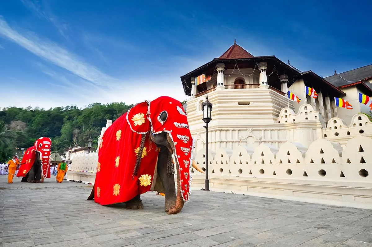 temple sacred tooth relic kandy