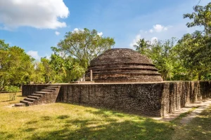 1yRD7x8YAaiZMiqjGmaKdkg