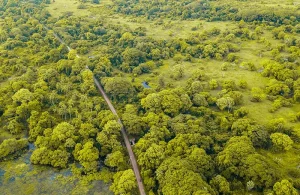 LSL B2 Chilaw Lagoonw 800x520