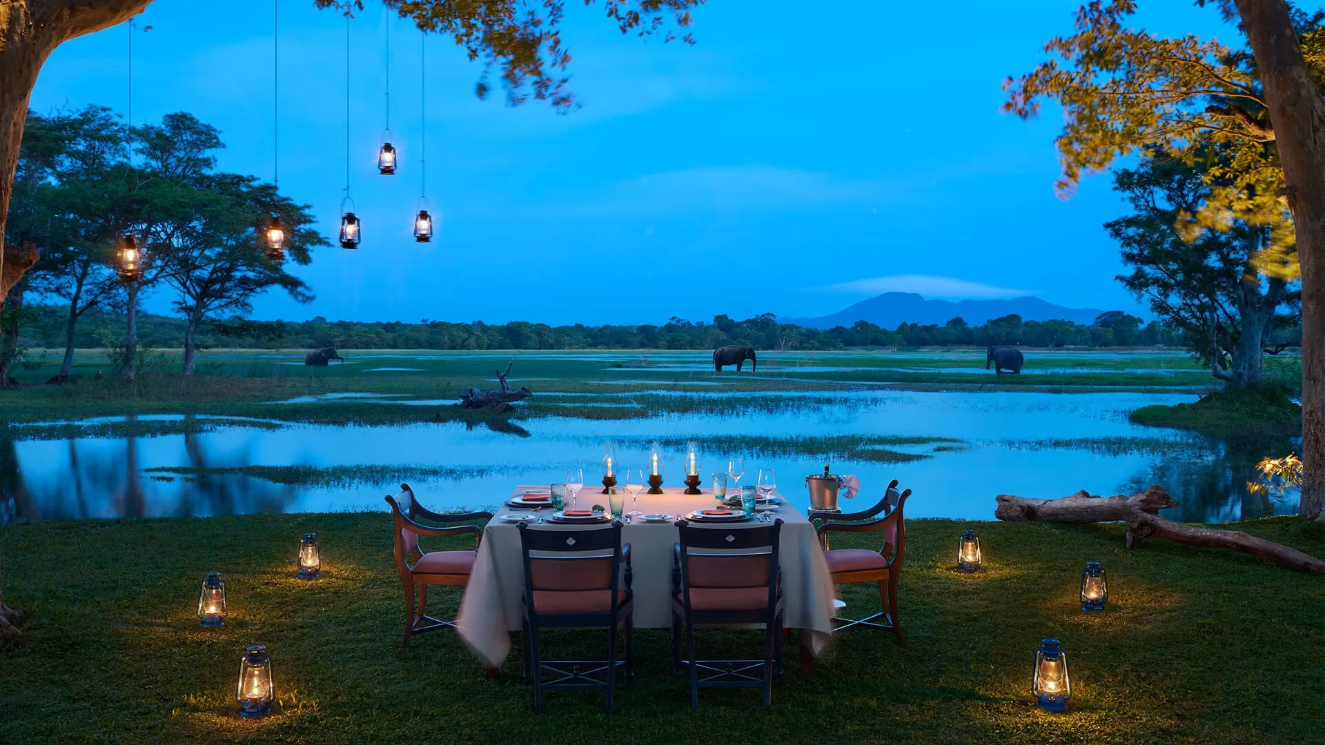 cinnamon lodge cultural triangle